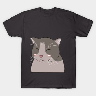 Smiling cat filter T-Shirt